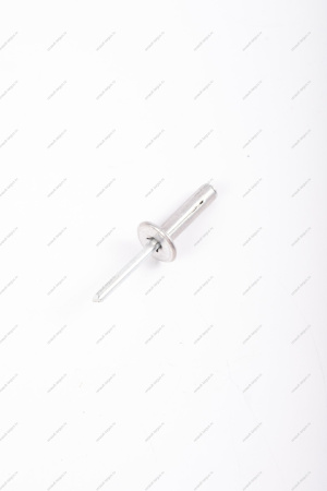 Заклепка(метал) крепления моторредуктора RENAULT Sandero/Logan Renault