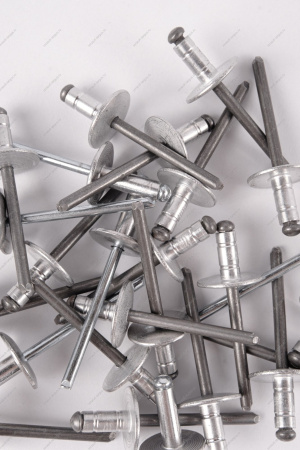 Заклепка RENAULT Logan/Рено Логан 2014- d=4,8мм Renault