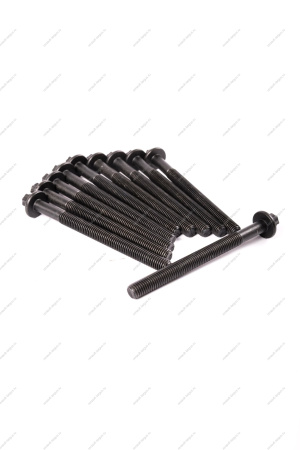 Болт головки блока LADA Largus М10*1,5*115 двигат K4M 10шт к-т БелЗАН