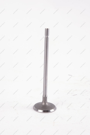 Клапан впускной 16кл. LADA Largus 1 шт AVTOSTANDART