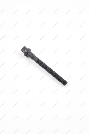 Болт головки блока цилиндров М10х1,25х98 ( нужно 10 шт) Lada Largus двигат (P4M) 21129 Lada