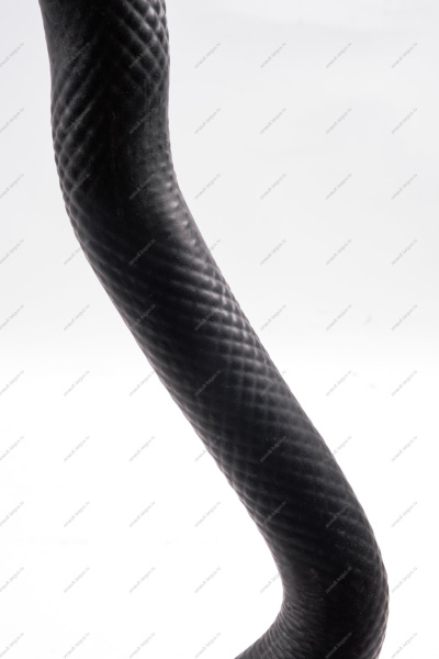 Шланг LADA Largus подводящий радиатора 8 кл.(от радиатора к термостату)(верхний) двигат 11189 (L=918/тФвн31,3) (БРТ) Lada