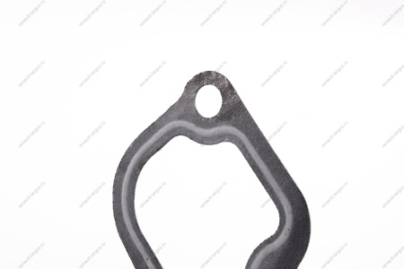 Прокладка термостата ВАЗ-2110 двигат 11189 Lada