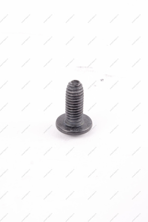 Винт LADA Largus М8х1,25х20 Lada