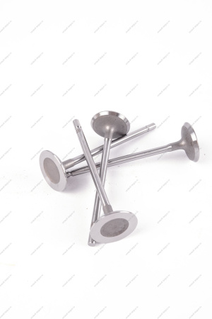 Клапан впускной 16кл. LADA Largus 1 шт AVTOSTANDART