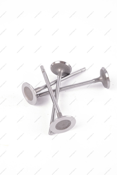 Клапан впускной 16кл. LADA Largus 1 шт AVTOSTANDART