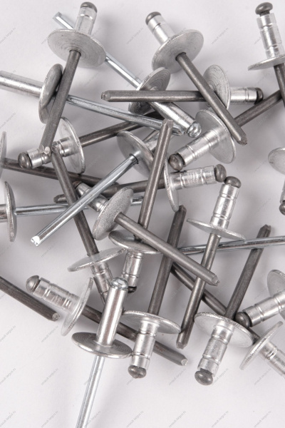 Заклепка RENAULT Logan/Рено Логан 2014- d=4,8мм Renault