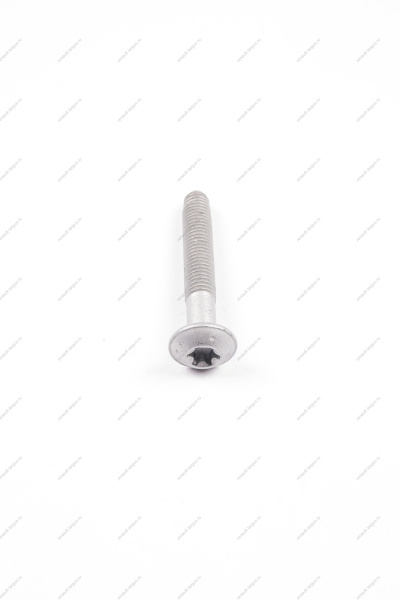 Болт М10Х15-66 крепления обводного ролика Lada Largus Renault