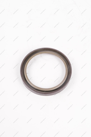 Кольцо Lada Vesta/Xray/Logan 2014- магнитное ABS (маленькое) тормозного барабана Renault