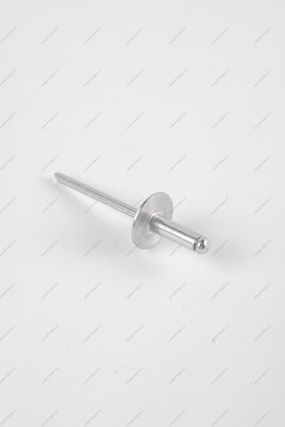 Заклепка RENAULT Logan/Рено Логан 2014- d=4,8мм Renault