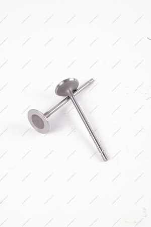 Клапан впускной 16кл. LADA Largus 1 шт AVTOSTANDART