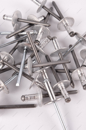 Заклепка RENAULT Logan/Рено Логан 2014- d=4,8мм Renault