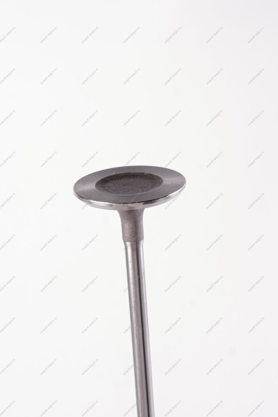 Клапан впускной 16кл. LADA Largus 1 шт AVTOSTANDART