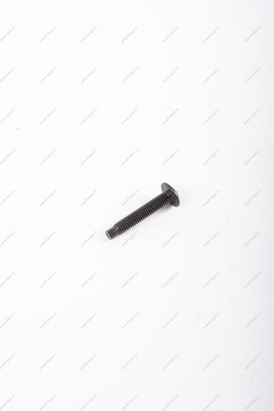 Болт LADA Largus/ Лада Ларгусбольшой саморез с круглой головкой М5 Lada