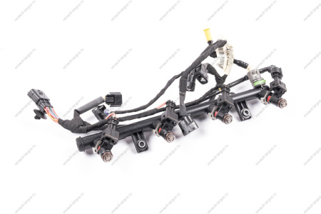 Рампа топливная LADA XRAY в сборе с форсунками 166007733R 4шт дв H4M к-т Renault