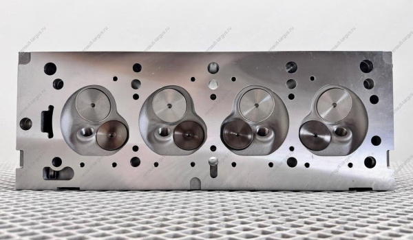 Головка блока цилиндров LADA Largus в СБОРЕ с клапанами, распредвалом 8 кл.двигат K7M/K7J ( АНАЛОГ) ( Рекомедовано для СТО) Китай