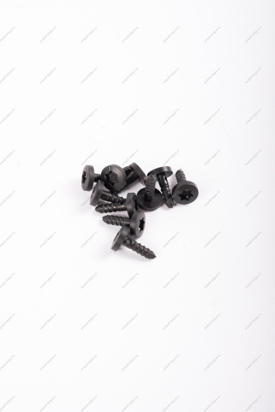 Заклепка RENAULT Logan/Рено Логан/ XRAY (пистон крепления молдинга) К-Т 10 шт 30884 ASAM-SA