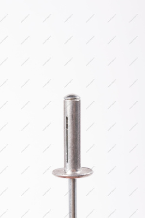 Заклепка(метал) крепления моторредуктора RENAULT Sandero/Logan Renault