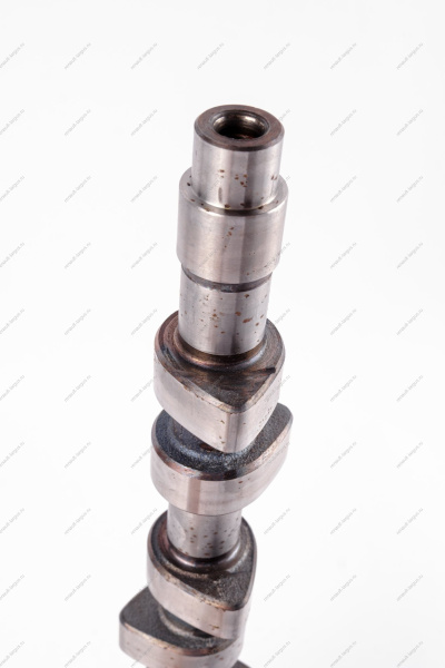 Вал распределительный впускной для двигат.11189 (P3M) Lada Largus Lada