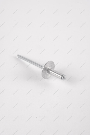 Заклепка RENAULT Logan/Рено Логан 2014- d=4,8мм Renault