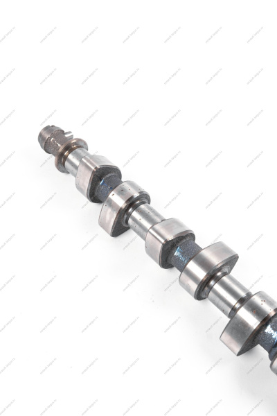 Вал распределительный впускной для двигат.11189 (P3M) Lada Largus Lada