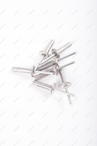 Заклепка(метал) крепления моторредуктора RENAULT Sandero/Logan Renault