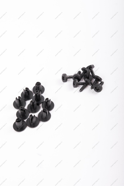 Заклепка RENAULT Logan/Рено Логан/ XRAY (пистон крепления молдинга) К-Т 10 шт 30884 ASAM-SA