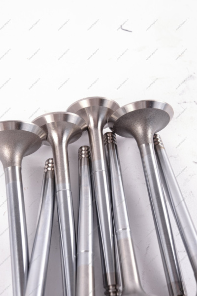 Комплект клапанов LADA Samara / 110 / Kalina / Granta / Priora 8 шт впускной+выпускной к-т Lada