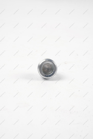 Пробка 22*1,5 сливного отверстия масляного картера LADA Vesta БелЗАН