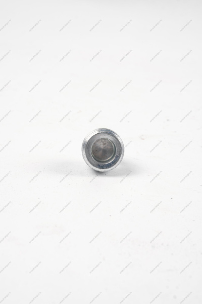 Пробка 22*1,5 сливного отверстия масляного картера LADA Vesta БелЗАН