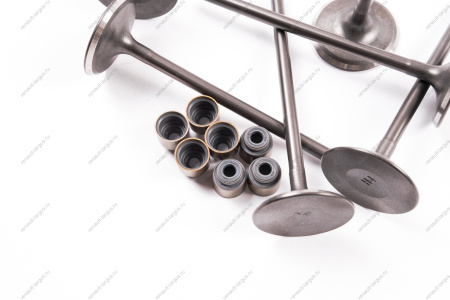 Комплект клапанов выпускных (с сухарями) в сбореLADA XRAY дв.H4M (114 л\с) 8шт Renault