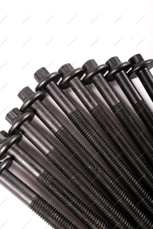 Болт головки блока LADA Largus М10*1,5*115 двигат K4M 10шт к-т БелЗАН