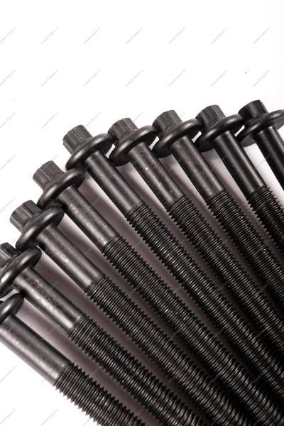 Болт головки блока LADA Largus М10*1,5*115 двигат K4M 10шт к-т БелЗАН