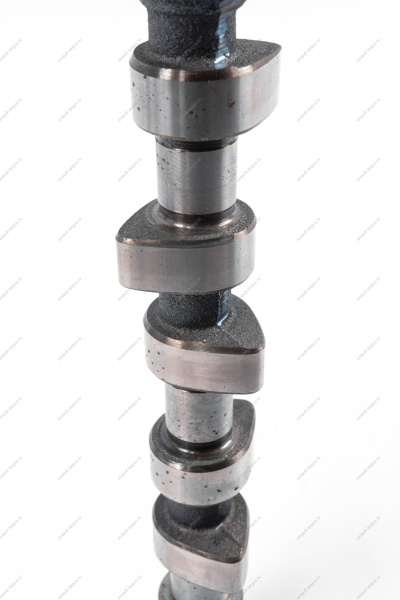 Вал распределительный впускной для двигат.11189 (P3M) Lada Largus Lada