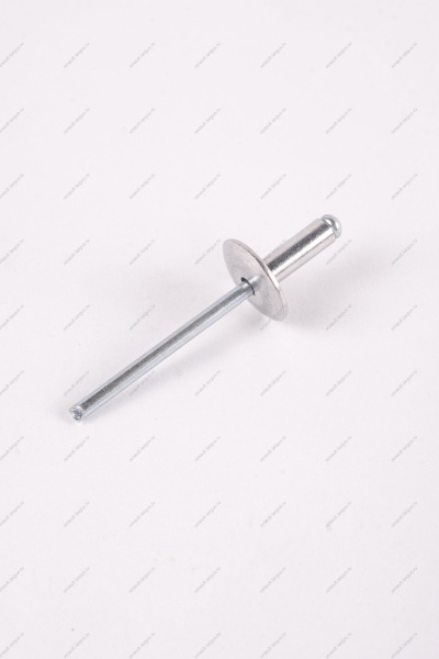 Заклепка RENAULT Logan/Рено Логан 2014- d=4,8мм Renault