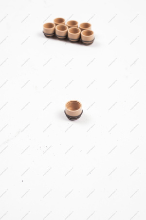 Колпачок ВАЗ-2108 маслоотражательный клапана с пружиной (КОМПЛЕКТ 8шт.в упаковке) Lada