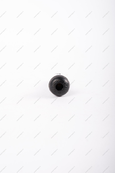 Вентиль (ниппель) для бескамерных шин хромированный Россия