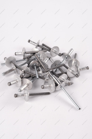 Заклепка RENAULT Logan/Рено Логан 2014- d=4,8мм Renault