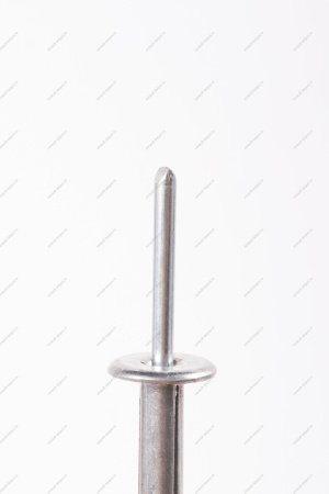 Заклепка(метал) крепления моторредуктора RENAULT Sandero/Logan Renault