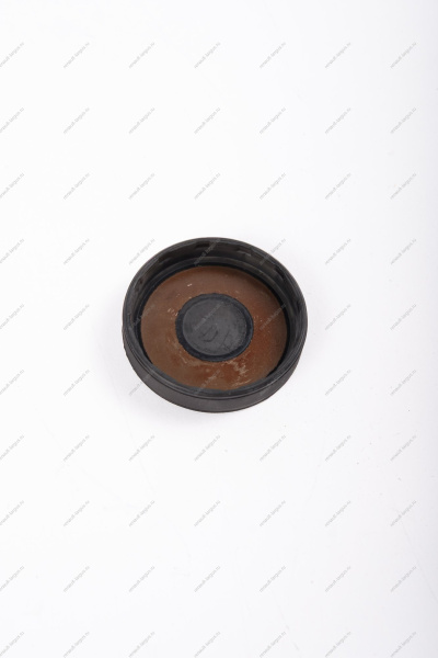 Заглушка распредвала малая двигат. 16кл. K4M,F4R Renault Largus Renault