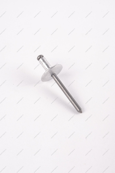 Заклепка RENAULT Logan/Рено Логан 2014- d=4,8мм Renault