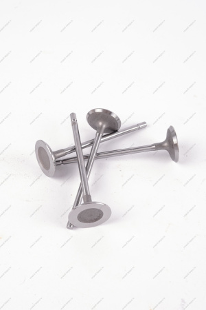 Клапан впускной 16кл. LADA Largus 1 шт AVTOSTANDART