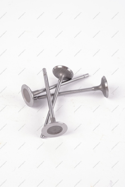 Клапан впускной 16кл. LADA Largus 1 шт AVTOSTANDART