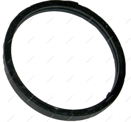 Прокладка термостата RENAULT Logan/Рено Логан Renault