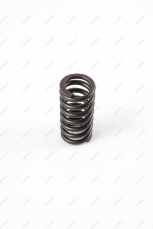 КОМПЛЕКТ Пружин LADA Largus (FL) NEW клапана дв 11182 (8 шт)к-тFederal Reserve Lada