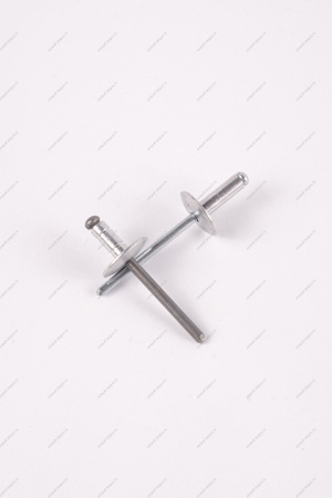 Заклепка RENAULT Logan/Рено Логан 2014- d=4,8мм Renault