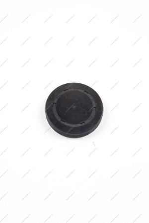 Заглушка распредвала большая двигат. D=57 16кл. K4M,F4R Renault Largus Renault