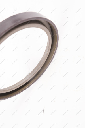 Кольцо Lada Vesta/Xray/Logan 2014- магнитное ABS (маленькое) тормозного барабана Renault