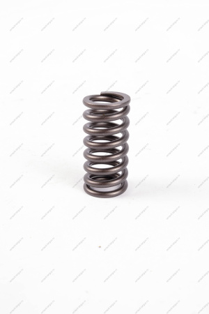 Пружина клапана LADA Largus (FL) NEW 1шт Lada