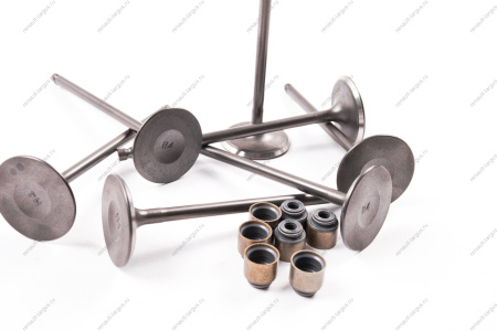 Комплект клапанов выпускных (с сухарями) в сбореLADA XRAY дв.H4M (114 л\с) 8шт Renault